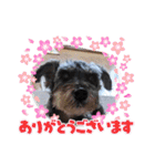 恵ママのコジちゃん（個別スタンプ：8）
