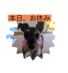 恵ママのコジちゃん（個別スタンプ：10）