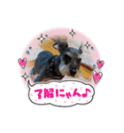 恵ママのコジちゃん（個別スタンプ：14）