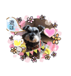 恵ママのコジちゃん（個別スタンプ：15）