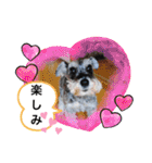 恵ママのコジちゃん（個別スタンプ：16）