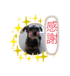 恵ママのコジちゃん（個別スタンプ：17）
