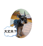 恵ママのコジちゃん（個別スタンプ：18）