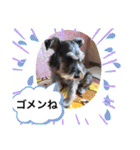 恵ママのコジちゃん（個別スタンプ：24）