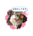 恵ママのコジちゃん（個別スタンプ：26）