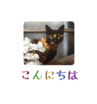 stamp of the YAMATO family（個別スタンプ：4）