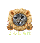 stamp of the YAMATO family（個別スタンプ：5）