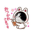 stamp of the YAMATO family（個別スタンプ：12）