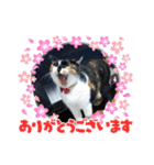 stamp of the YAMATO family（個別スタンプ：14）