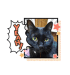 stamp of the YAMATO family（個別スタンプ：32）
