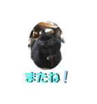 stamp of the YAMATO family（個別スタンプ：40）
