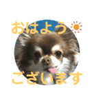 トラのまき 敬語バージョン（個別スタンプ：1）