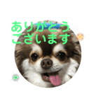 トラのまき 敬語バージョン（個別スタンプ：3）