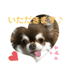 トラのまき 敬語バージョン（個別スタンプ：5）