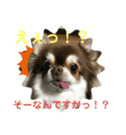 トラのまき 敬語バージョン（個別スタンプ：6）