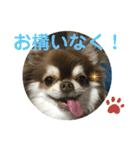 トラのまき 敬語バージョン（個別スタンプ：7）