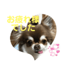 トラのまき 敬語バージョン（個別スタンプ：14）