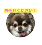 トラのまき 敬語バージョン（個別スタンプ：16）