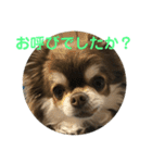トラのまき 敬語バージョン（個別スタンプ：18）