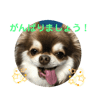 トラのまき 敬語バージョン（個別スタンプ：21）