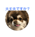 トラのまき 敬語バージョン（個別スタンプ：23）