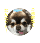 トラのまき 敬語バージョン（個別スタンプ：28）