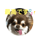 トラのまき 敬語バージョン（個別スタンプ：29）