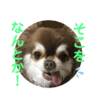 トラのまき 敬語バージョン（個別スタンプ：32）