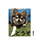 トラのまき 敬語バージョン（個別スタンプ：34）