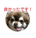 トラのまき 敬語バージョン（個別スタンプ：39）
