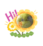 オカメインコのトッポさん（個別スタンプ：16）