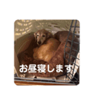私が、カフェです。（個別スタンプ：2）