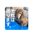 私が、カフェです。（個別スタンプ：3）