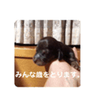 私が、カフェです。（個別スタンプ：4）