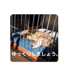 私が、カフェです。（個別スタンプ：7）