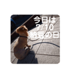 私が、カフェです。（個別スタンプ：8）