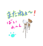 ポメ太くんだわん（個別スタンプ：4）