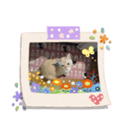 ぷーぷーふたみ（個別スタンプ：5）