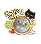 ぷーぷーふたみ（個別スタンプ：6）
