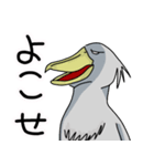 好きすぎるハシビロコウ（個別スタンプ：39）