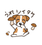 Terrier テリア Ver2 (ダジャレ・死語)（個別スタンプ：11）