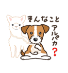 Terrier テリア Ver2 (ダジャレ・死語)（個別スタンプ：24）