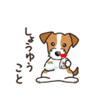 Terrier テリア Ver2 (ダジャレ・死語)（個別スタンプ：35）