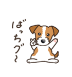 Terrier テリア Ver2 (ダジャレ・死語)（個別スタンプ：38）