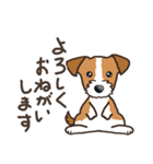 Terrier テリア Ver2 (ダジャレ・死語)（個別スタンプ：39）