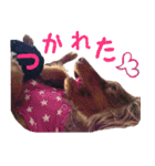 愛しのシェリno.2（個別スタンプ：7）