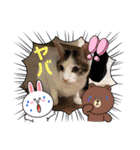 れおさんスタンプ3（個別スタンプ：6）