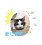 れおさんスタンプ3（個別スタンプ：7）