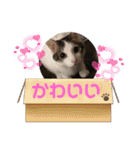 れおさんスタンプ3（個別スタンプ：8）