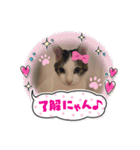 れおさんスタンプ3（個別スタンプ：9）